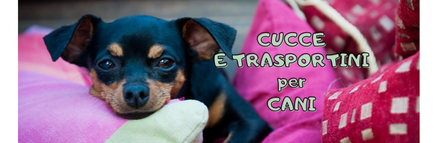 Cucce, Cuscini e Trasportini per cane