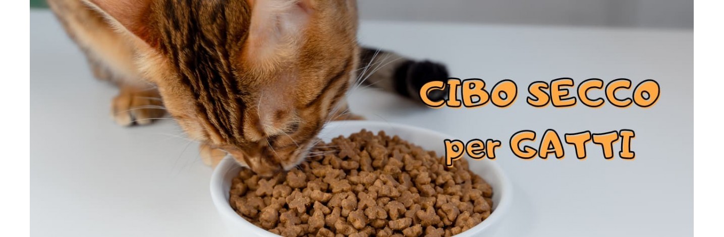 Cibo Secco per Gatti