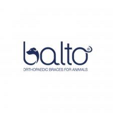 Balto in vendita su IlPetshop